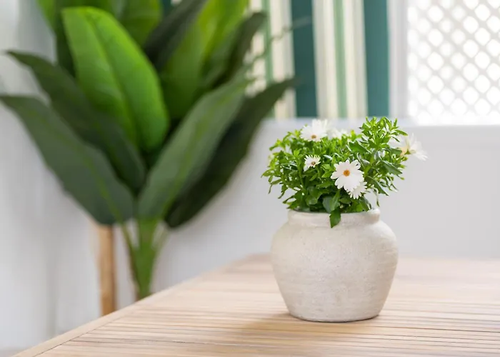 Appartamento Casa Luz *